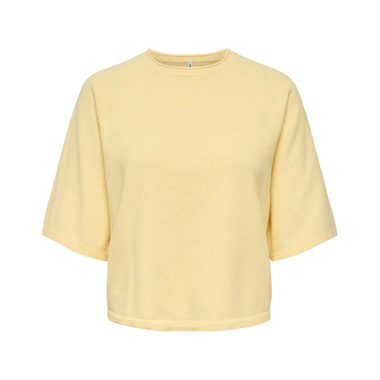 Shirt CARLOYAL
